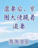 虐妻后，京圈大佬跪着追妻TXT小说