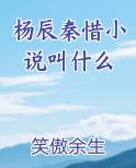 杨辰秦惜小说叫什么