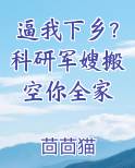 逼我下乡？科研军嫂搬空你全家在线阅读小说