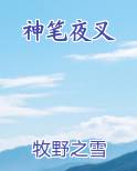 神笔夜叉免费听书