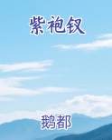 紫袍钗