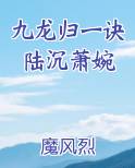 九龙归一诀陆沉萧婉小说全文免费阅读