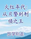 火红年代：从片警到刑侦之王小说全文免费阅读